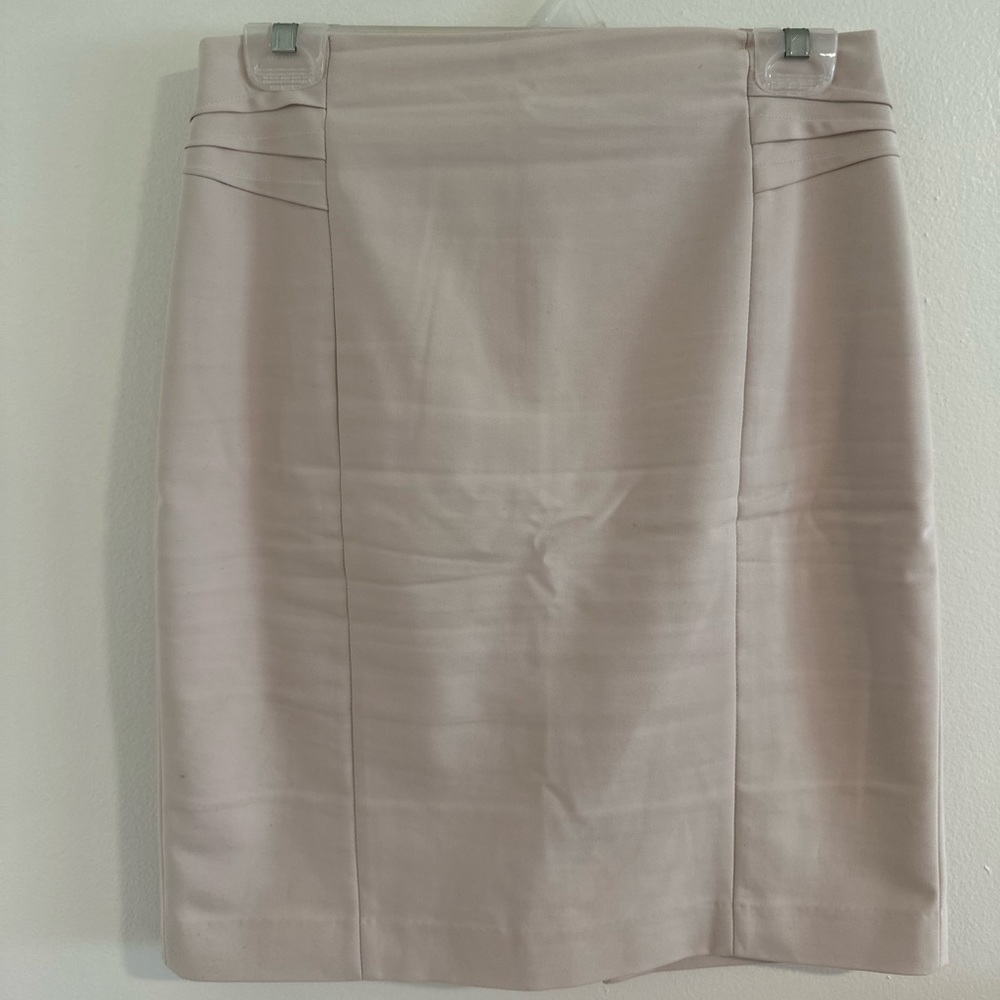 Express Pencil Skirt